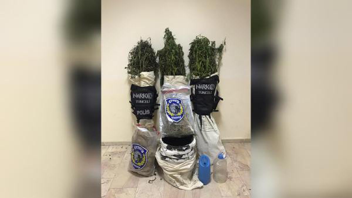 Tunceli\'de 13 kilo Hint keneviri tohumu ele geçirildi
