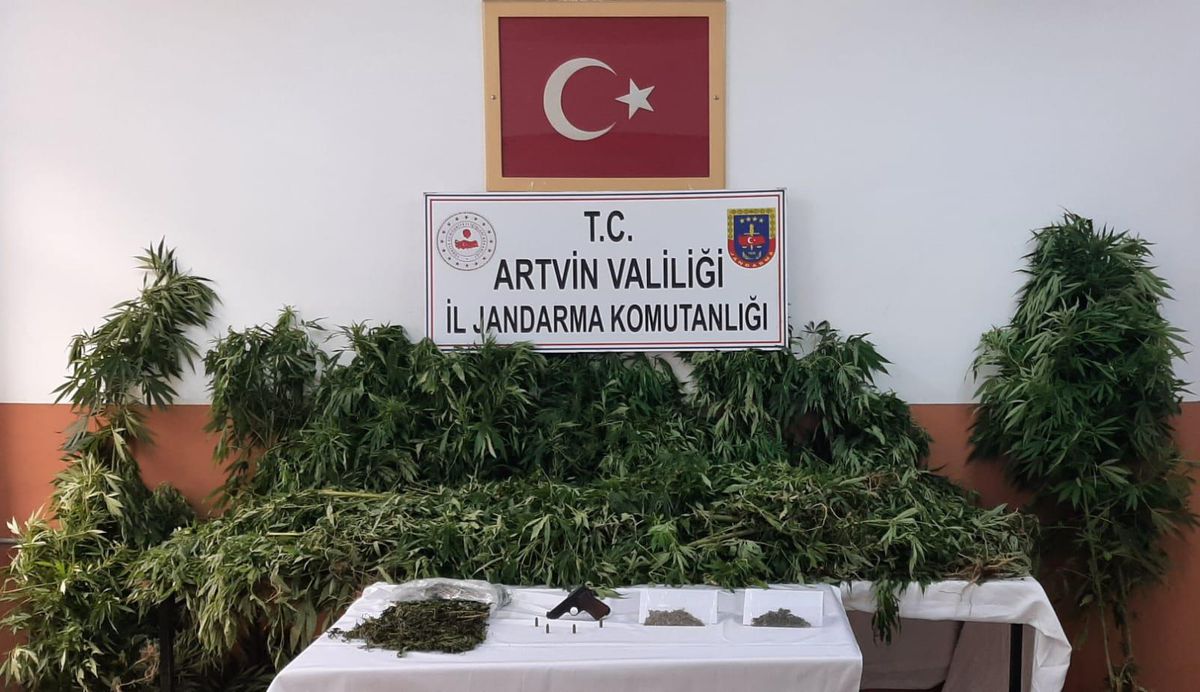 Artvin\'de 32 kilogram kubar esrar ele geçirildi