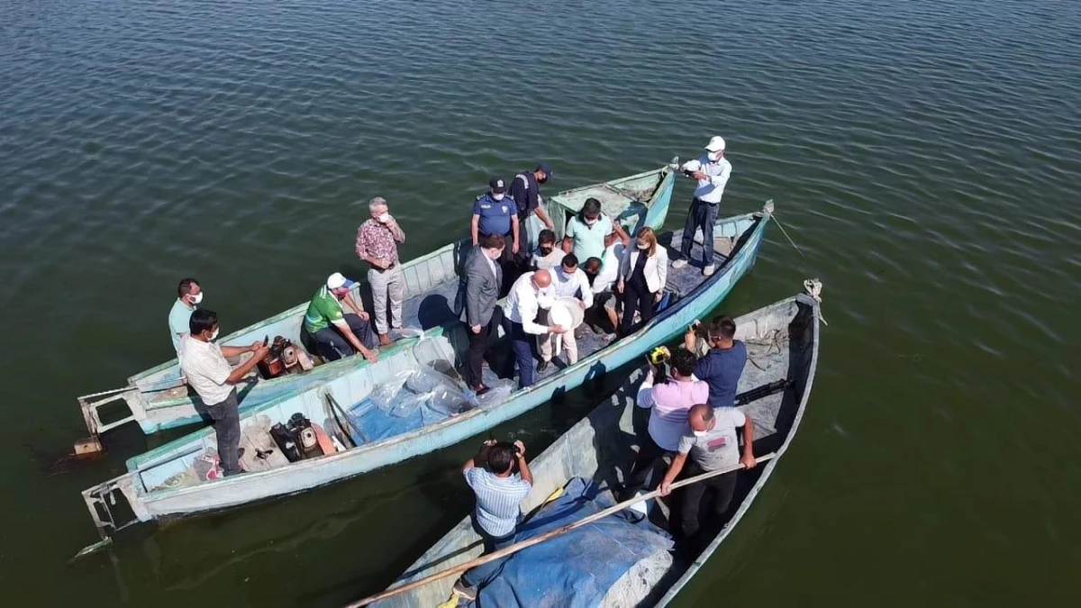 Son dakika haberleri: Beyşehir Gölü\'ne 900 bin sazan balığı bırakıldı