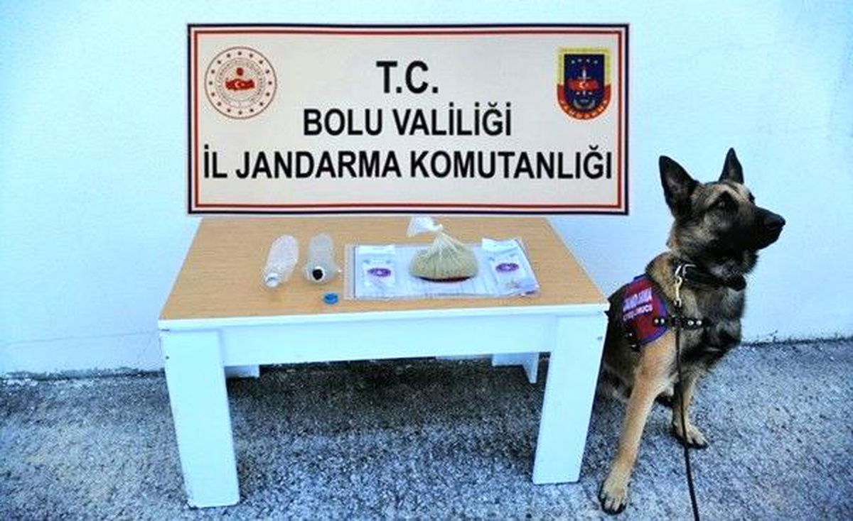 Bolu\'da, çekici üzerinde taşınan otomobilde 305 gram esrar yakalandı