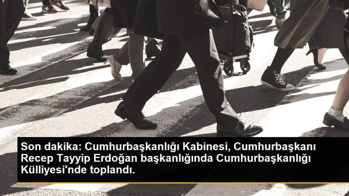Cumhurbaşkanlığı Kabinesi, Cumhurbaşkanı Erdoğan başkanlığında toplandı