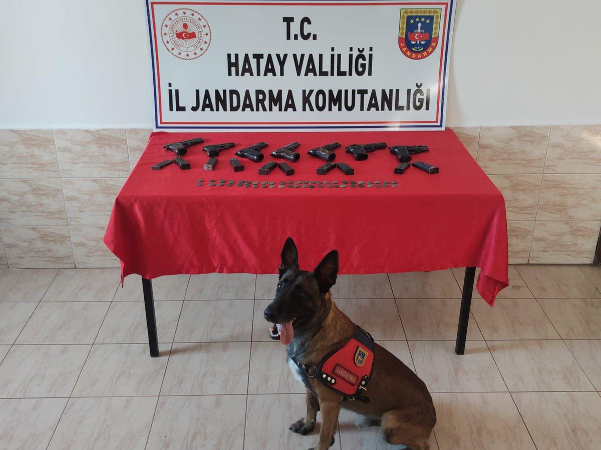Hatay\'da, Suriye\'den kaçak getirildiği belirlenen 7 tabanca ve 48 sikke ele geçirildi