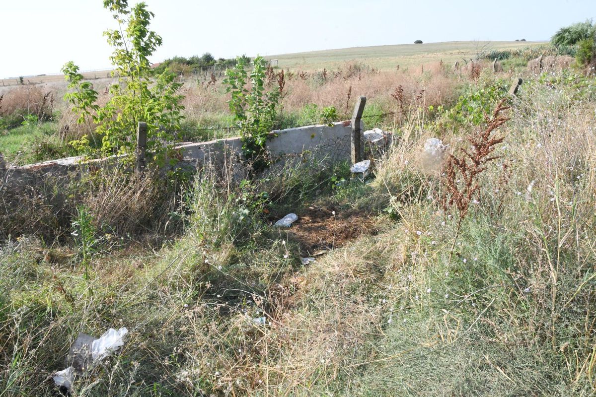 Tekirdağ\'da boş arazide bulunan kemik parçaları incelenmek üzere adli tıpa gönderildi