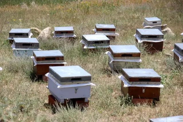 Arıcılar kara kara düşünüyor, tek istekleri var Arıcılar kara kara düşünüyor, tek istekleri var