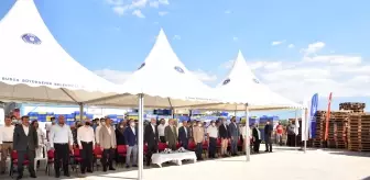 Bursa'nın siyah incisinin hasadına başlandı