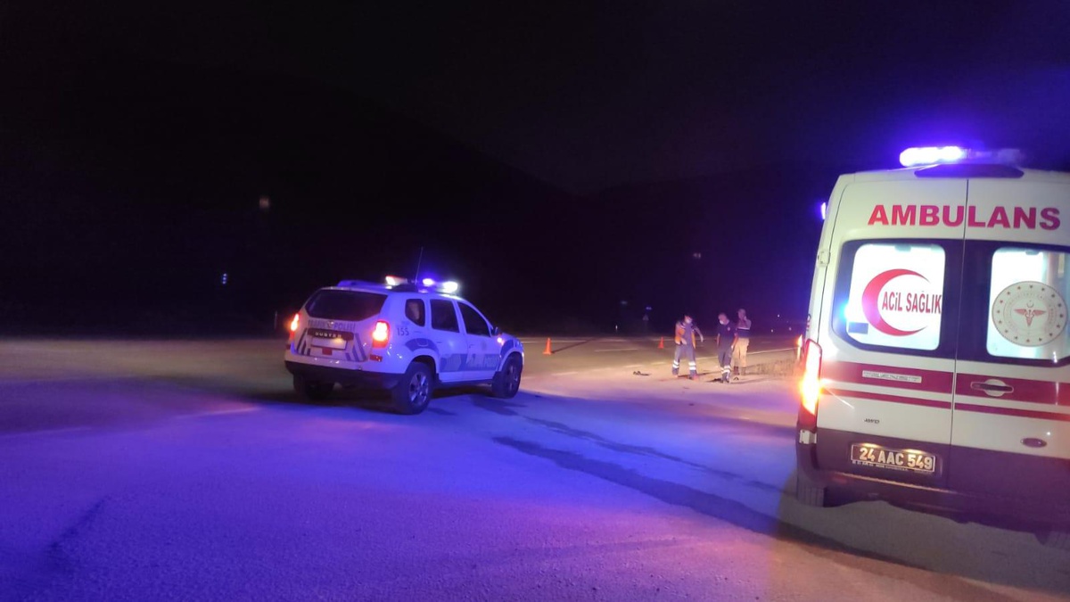 Erzincan\'da otomobilin çarptığı orman muhafaza memuru hayatını kaybetti
