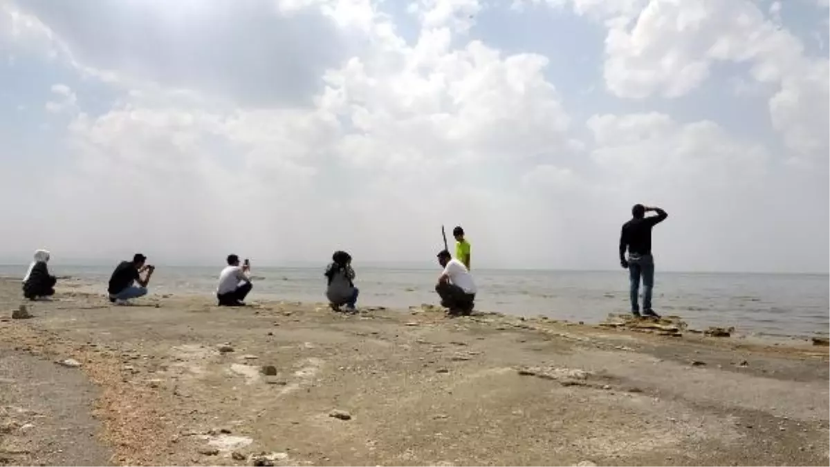 FLAMİNGOLAR KURAKLIK NEDENİYLE YER DEĞİŞTİRDİ, FOTOĞRAFÇILAR YAKINDAN GÖRÜNTÜLEYEBİLDİ