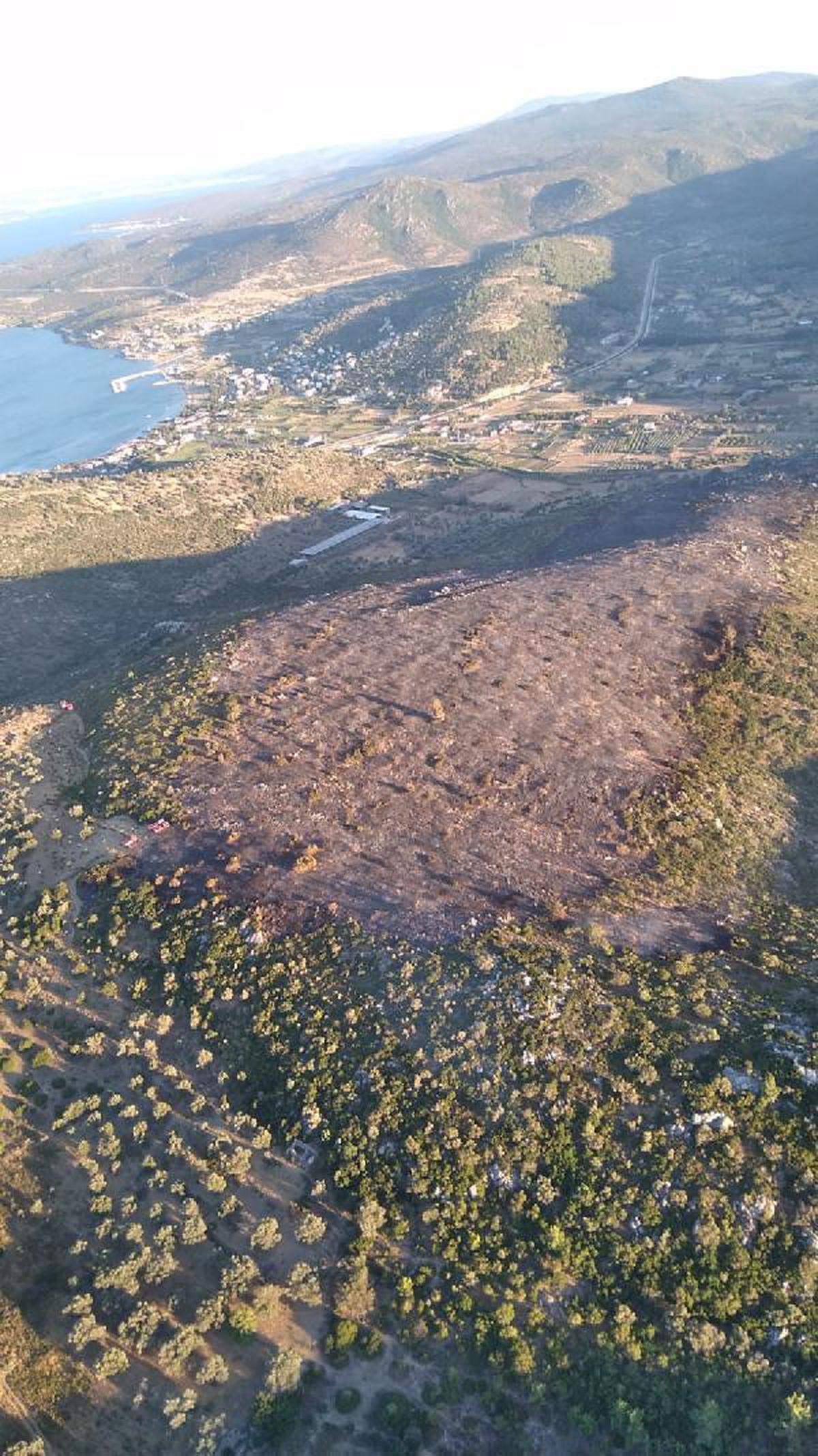 İzmir\'de, makilik ve orman yangını (2)