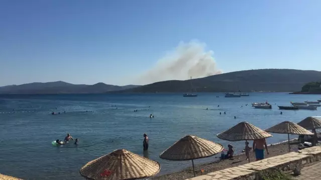 Son dakika haberleri... İzmir'deki yangına müdahale İHA kameralarına yansıdı