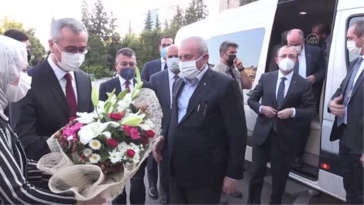 KAHRAMANMARAŞ - TBMM Başkanı Şentop ile Ticaret Bakanı Muş, nikah şahitliği yaptı