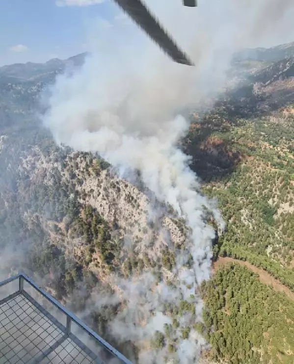 Muğla'nın Köyceğiz ilçesinde yangın başladı! Alevlere havadan müdahale ediliyor