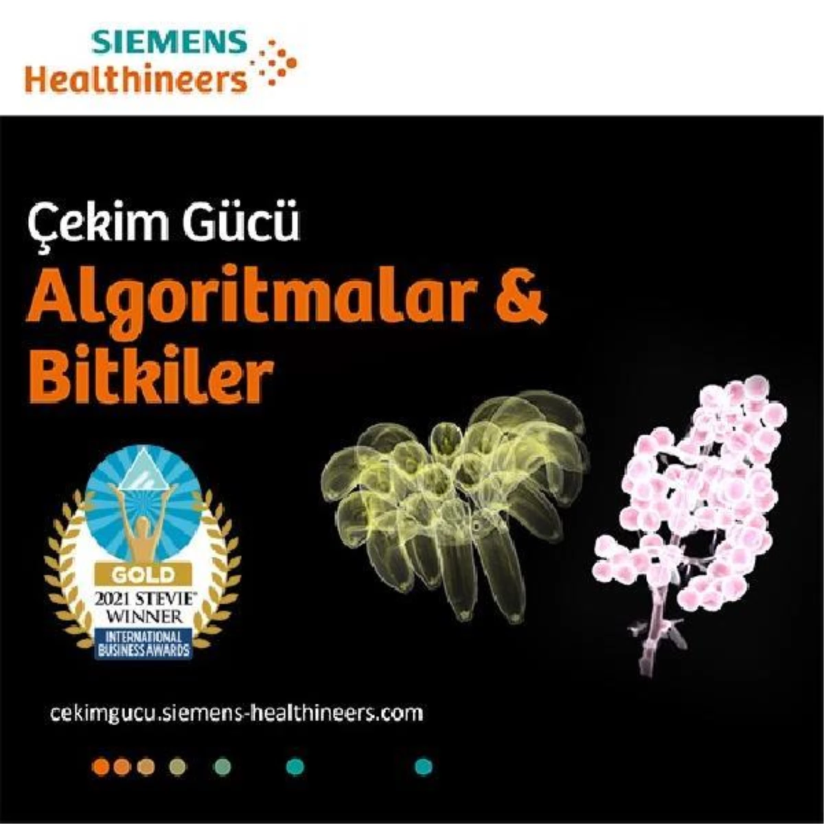 Siemens Healthineers Türkiye Algoritmalar ve Bitkiler Sergisi\'ne Stevie\'den altın ödül