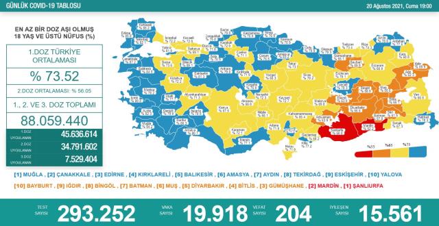 Son Dakika: Türkiye'de 20 Ağustos günü koronavirüs nedeniyle 204 kişi vefat etti, 19 bin 918 yeni vaka tespit edildi