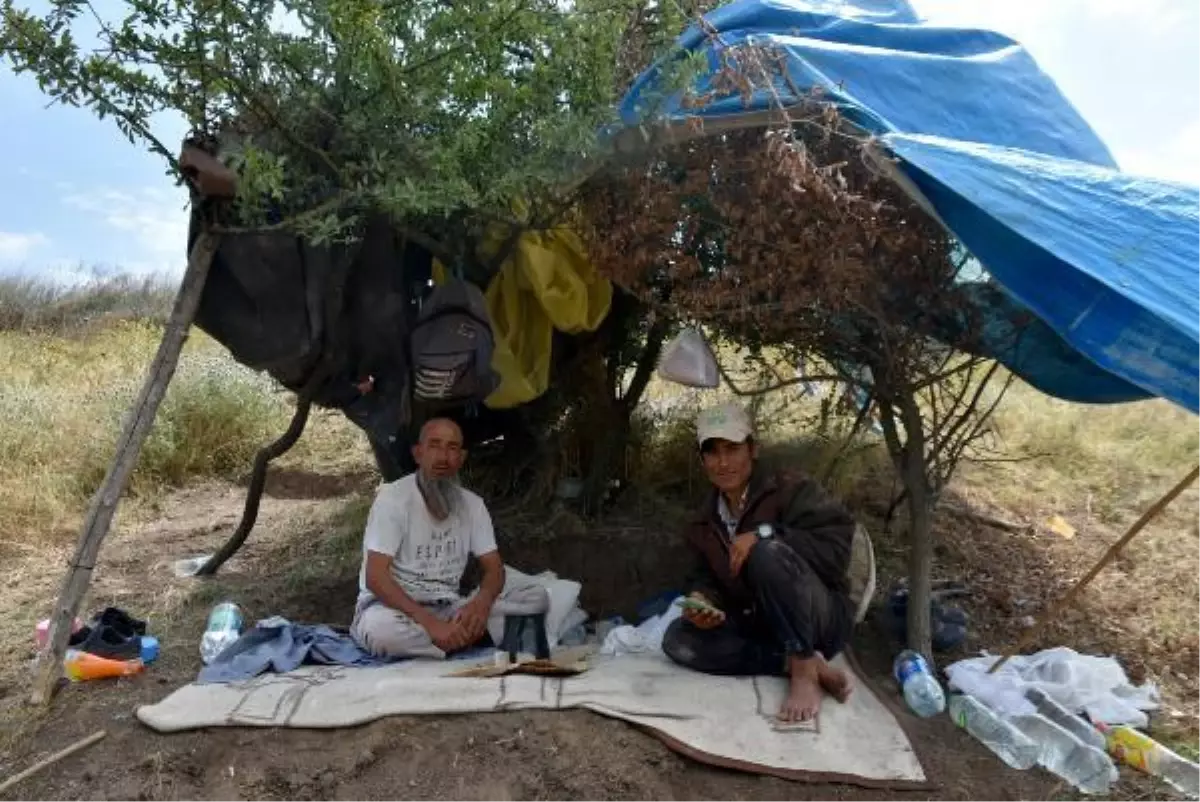 TALİBAN\'DAN KAÇAN AFGAN GÖÇMENLER, EDİRNE\'DE ÇOBANLIK YAPIYOR