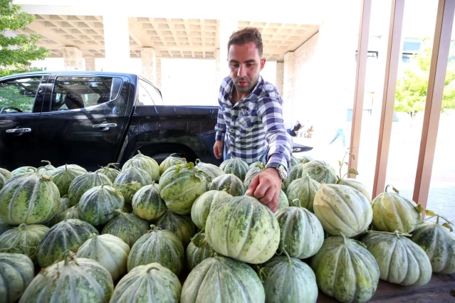Vatandaşlar sağlıklı gıdaya Nilüfer Bostan'la ulaşıyor