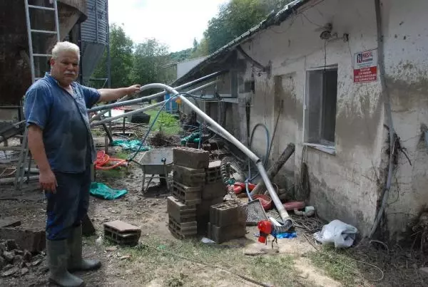 Selin vurduğu tavuk çiftliğinde 24 bin tavuk telef oldu, 1 milyonluk maddi zarar var Selin vurduğu tavuk çiftliğinde 24 bin tavuk telef oldu, 1 milyonluk maddi zarar var