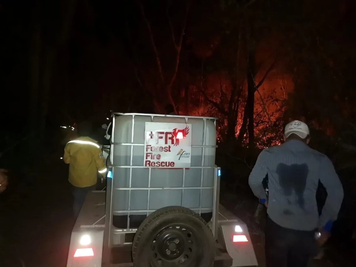 Son dakika haberleri | Bolivya\'da orman yangınları: 280 bin hektarlık alan küle döndü