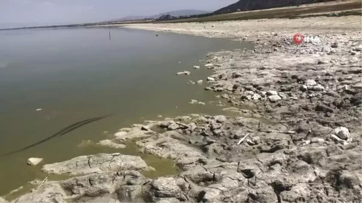 Burdur gölünde alg patlaması...Göl kahverengiye döndü