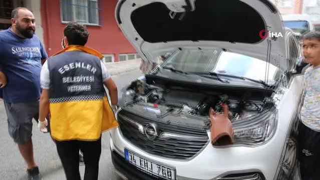 Esenler'de yürekleri ısıtan iki olay yaşandı Esenler'de yürekleri ısıtan iki olay yaşandı