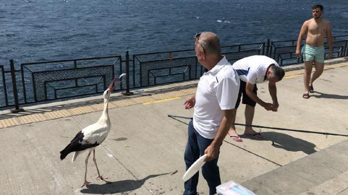 İstanbul Boğazı\'nın Yaren\'i