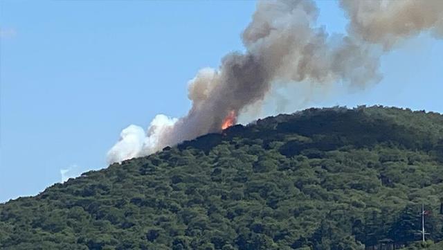 Son Dakika! Heybeliada'da yerleşim yerlerine yakın noktada yangın çıktı, bölgeye itfaiye ekipleri gönderildi