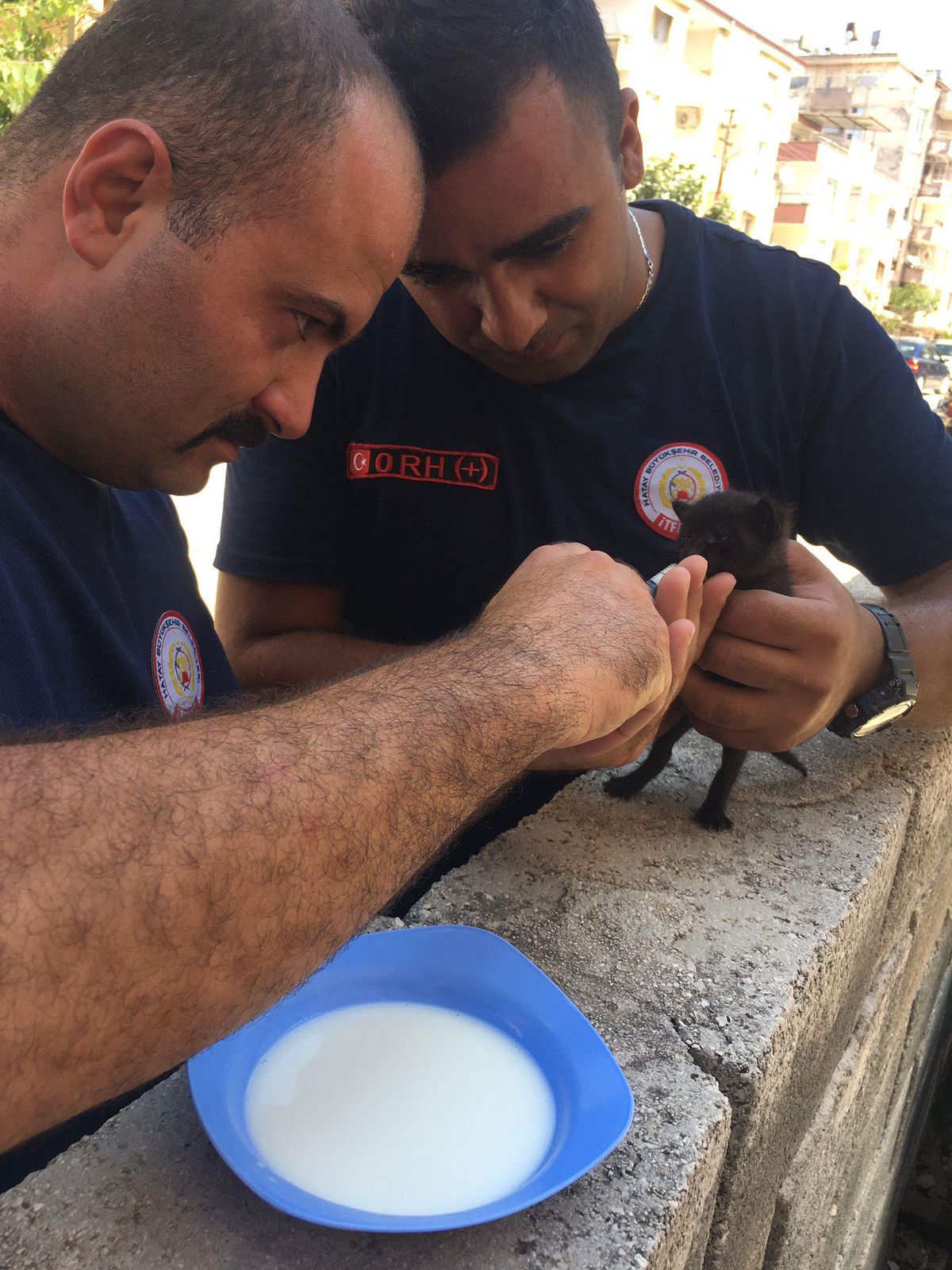 Son dakika haberleri... Hatay\'da apartman boşluğunda mahsur kalan kedi yavrusunu itfaiye kurtardı