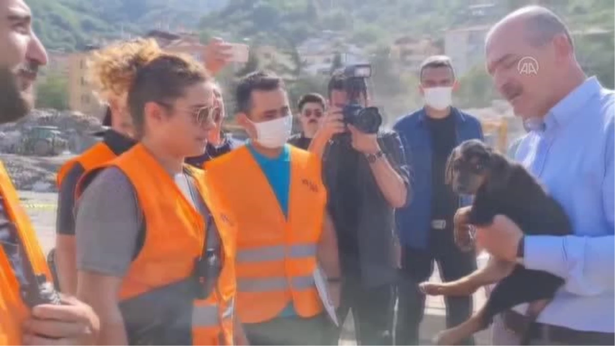 Son dakika haberi: KASTAMONU - Bakan Soylu, Kastamonu\'daki sel felaketinin ardından kurtarılan köpeğe "Bozkurt" adını verdi