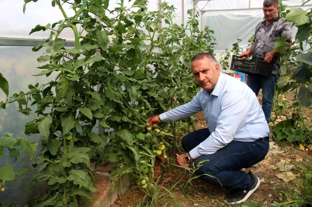 Şenkaya Belediyesi üretim yaparak öğrencilere destek oluyor