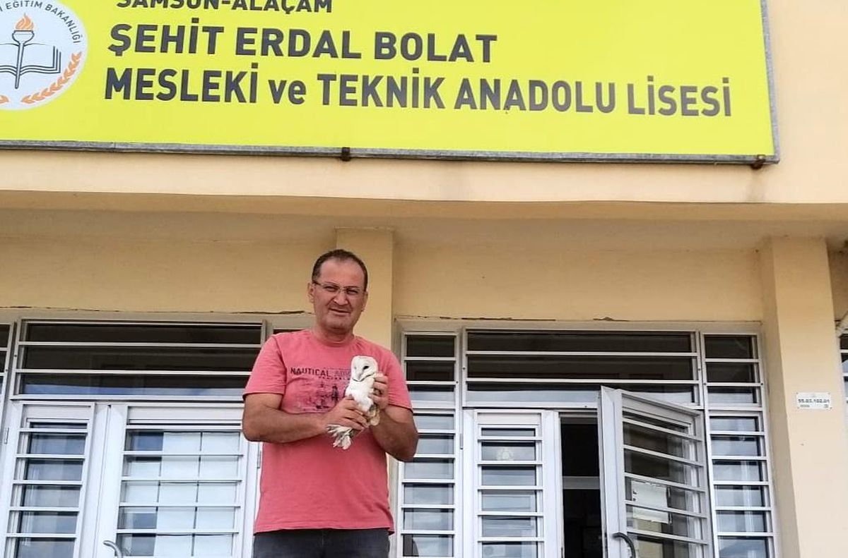Yaralı halde bulunan baykuş tedavi altına alındı