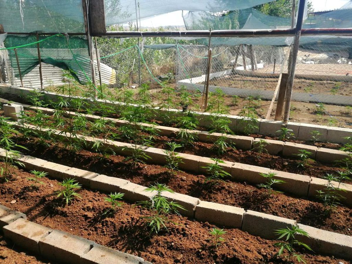 Adana\'da uyuşturucu operasyonu: 48 gözaltı