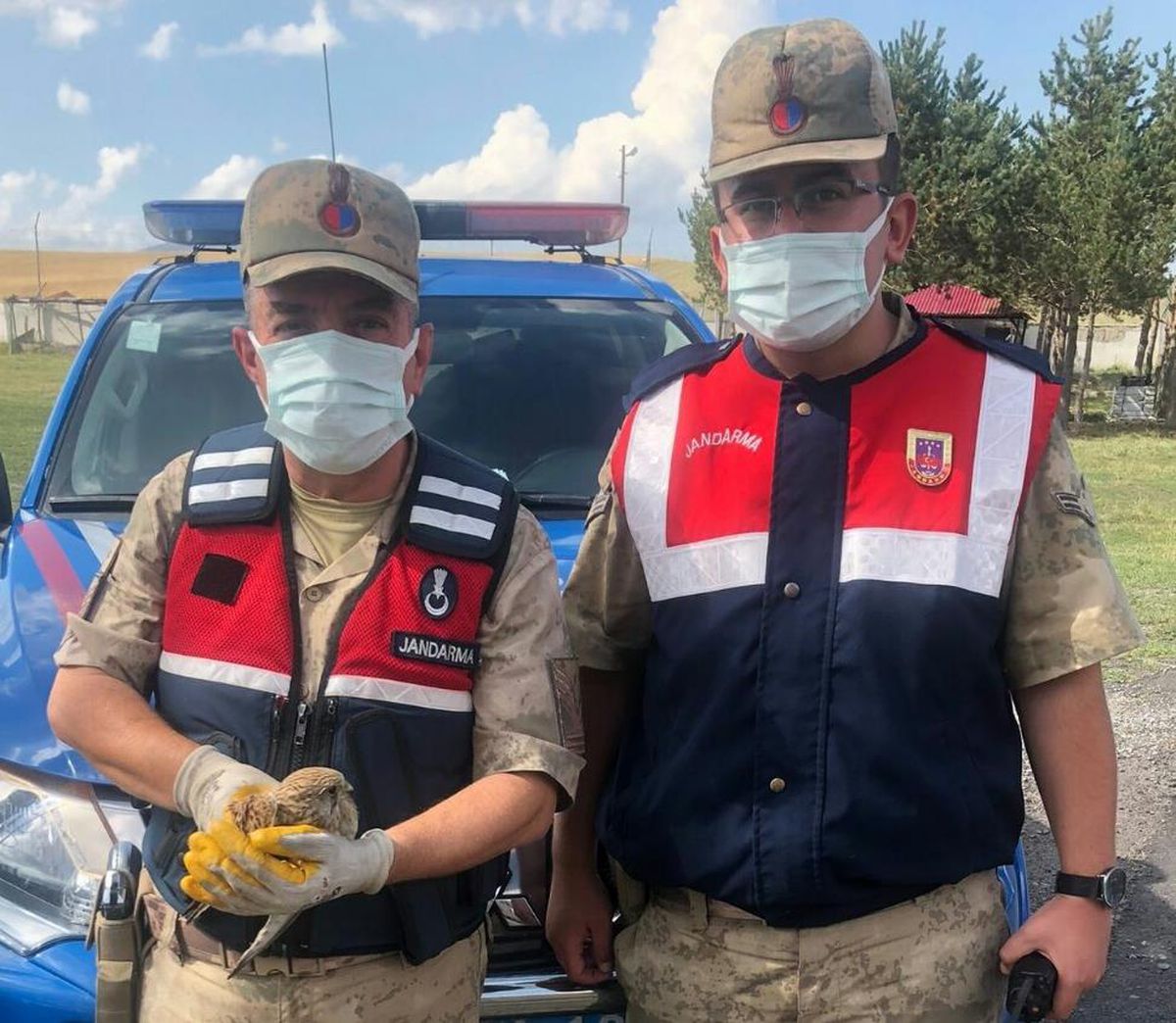 Son dakika haberi | Ardahan\'da jandarmanın yaralı halde bulduğu kerkenez kuşu tedaviye alındı