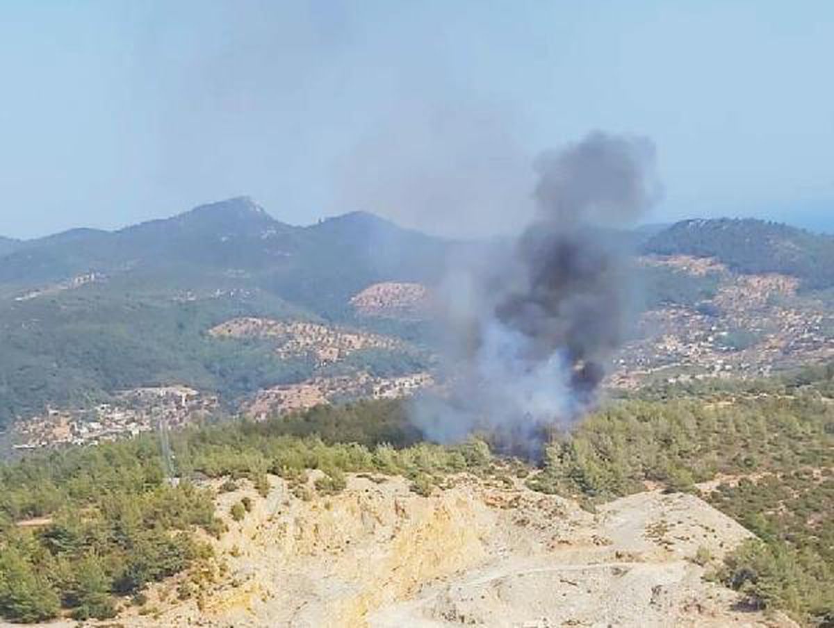Son dakika haberleri! Bodrum\'da orman yangını (1)