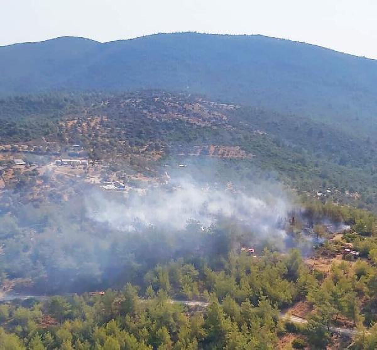 Son dakika haberleri: Bodrum\'da orman yangını (2)