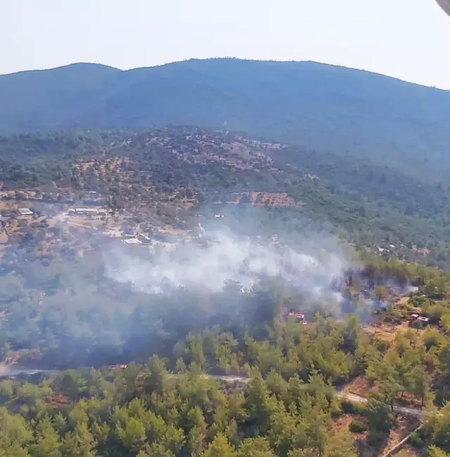 Son dakika gündem: Bodrum'da ormanlık alanda çıkan yangına müdahale ediliyor