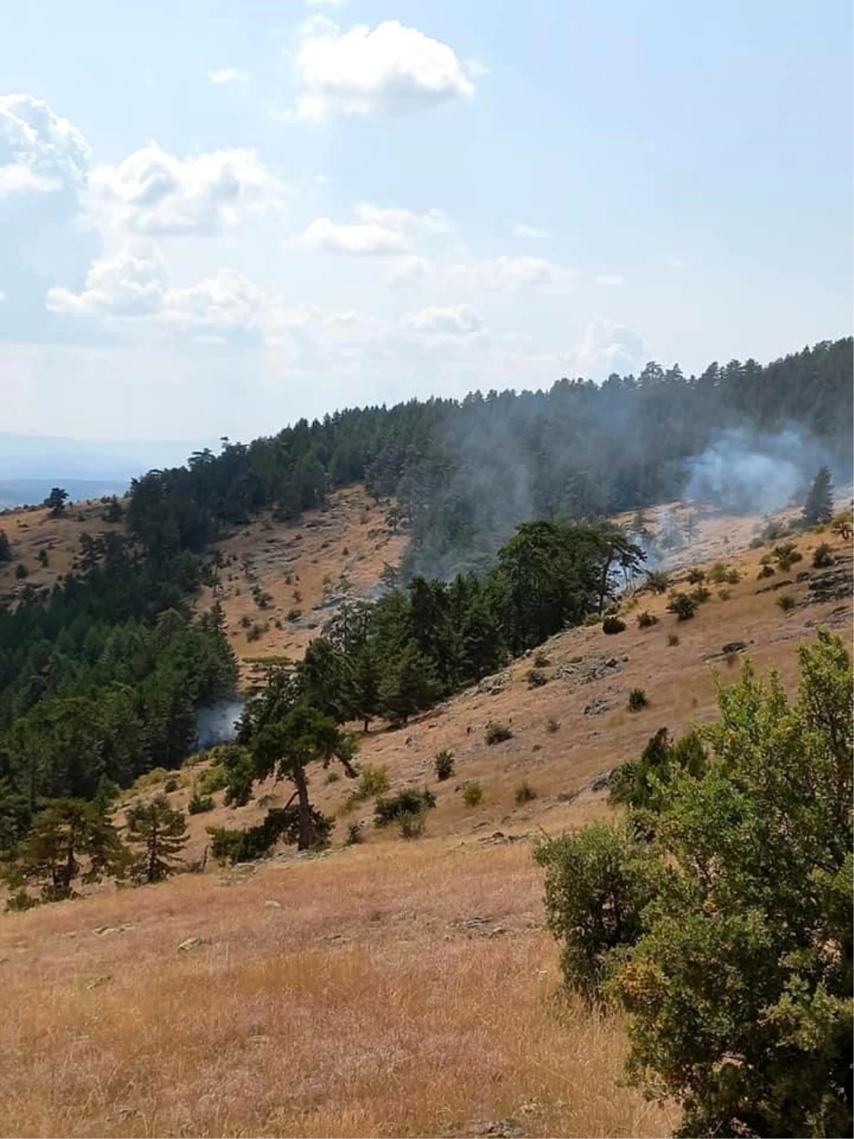 Bolu\'da 1 hektarlık orman yangında zarar gördü