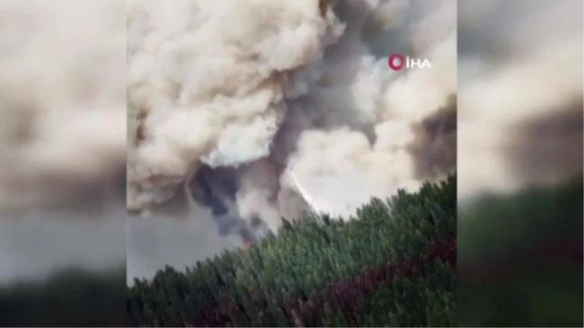 Son dakika haber | California\'daki orman yangını devam ediyor: 700 ev küle döndü