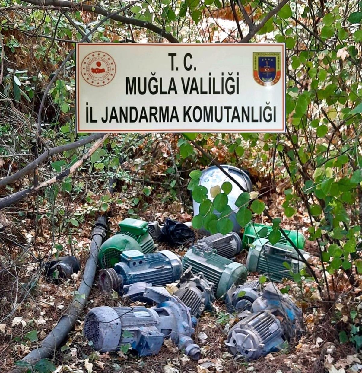 BASIN BÜLTENİ (2021/145)