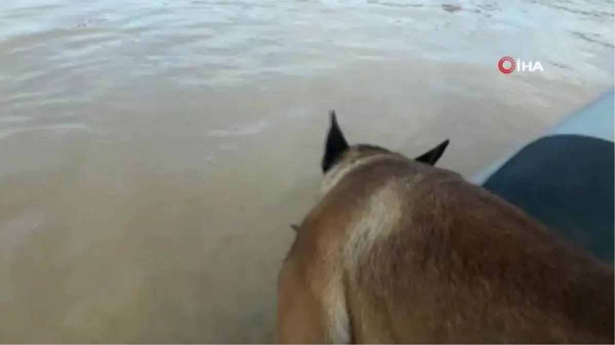 Dünyada sadece Türkiye başarılı olabildi: Sel bölgesinde 8 ceset buldular