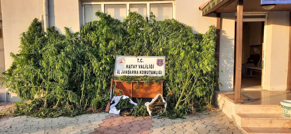 Hatay\'da 12 kilo 526 gram esrar ele geçirildi