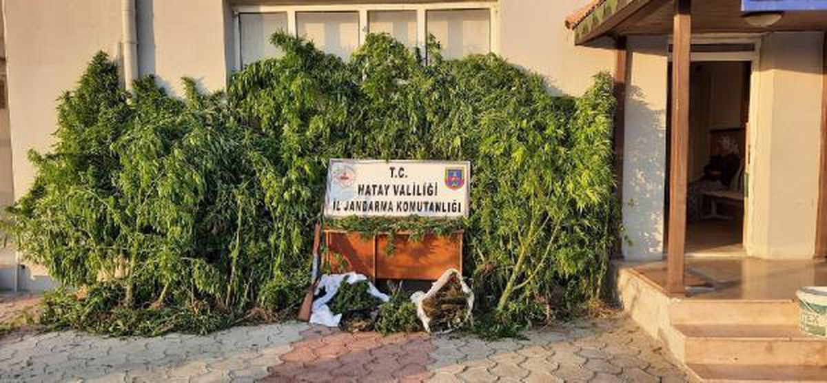 Hatay\'da uyuşturucuya 2 tutuklama