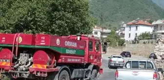 Kazdağları'nda orman yangını (2)- Yeniden