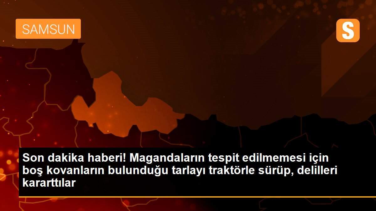 Son dakika haberi! Magandaların tespit edilmemesi için boş kovanların bulunduğu tarlayı traktörle sürüp, delilleri kararttılar