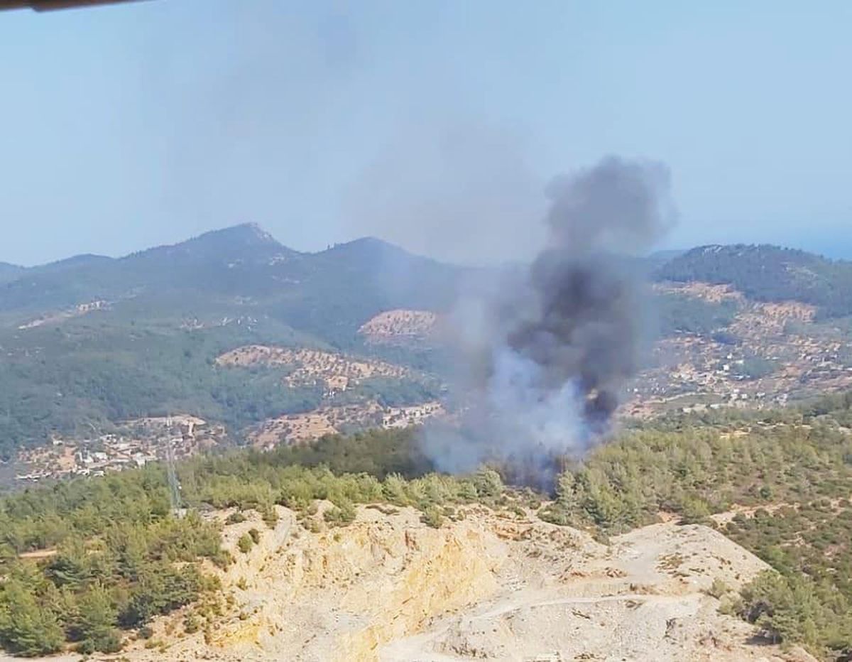 Milas\'ta orman yangını