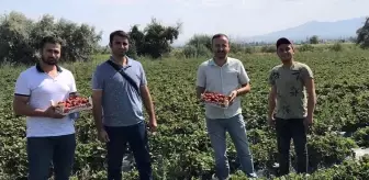 Nevşehir'den kısa kısa