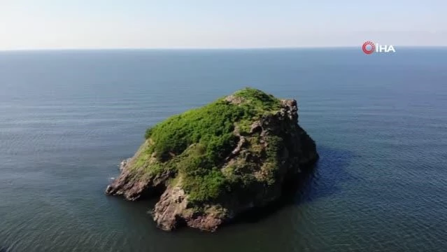 Ordu'nun kuş cenneti 'Hoynat Adası'na ilgi artıyor