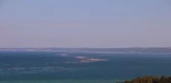 Son Dakika | Selle birlikte gelen tomruklar, balıkçıları tedirgin ediyor