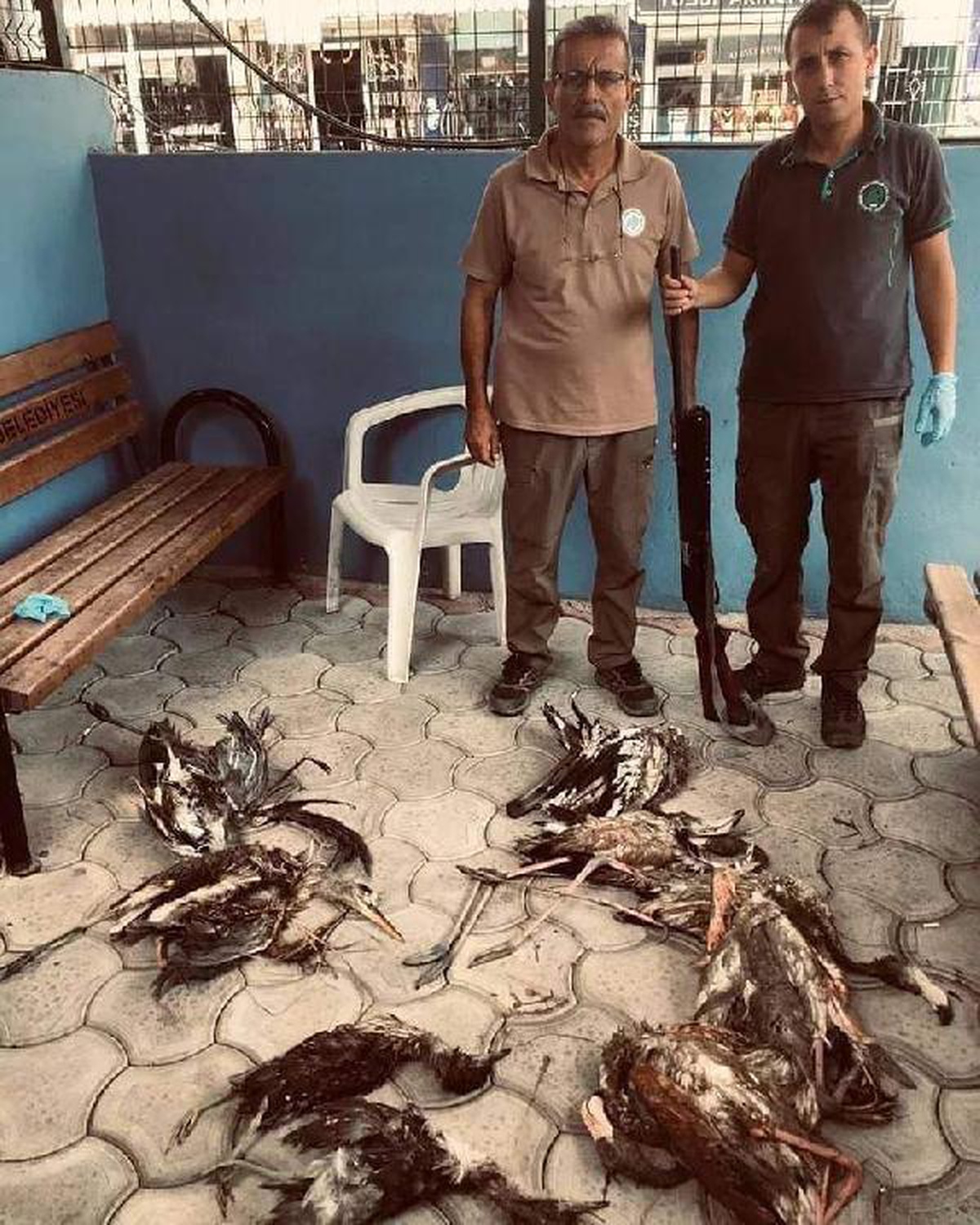 5\'i flamingo 9 kuşu vuran avcıya 28 bin lira ceza