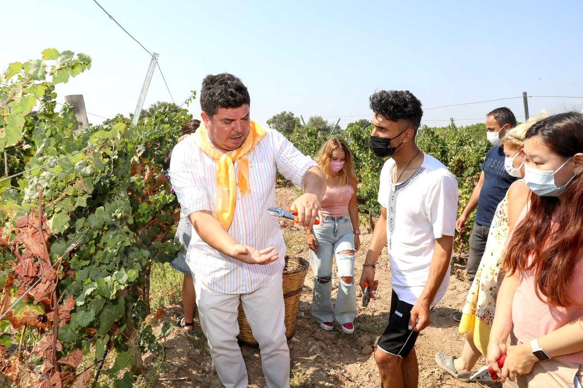5 ülkeden 21 genç, Başkan Kılıç ile beraber Buca\'da üzüm hasat etti