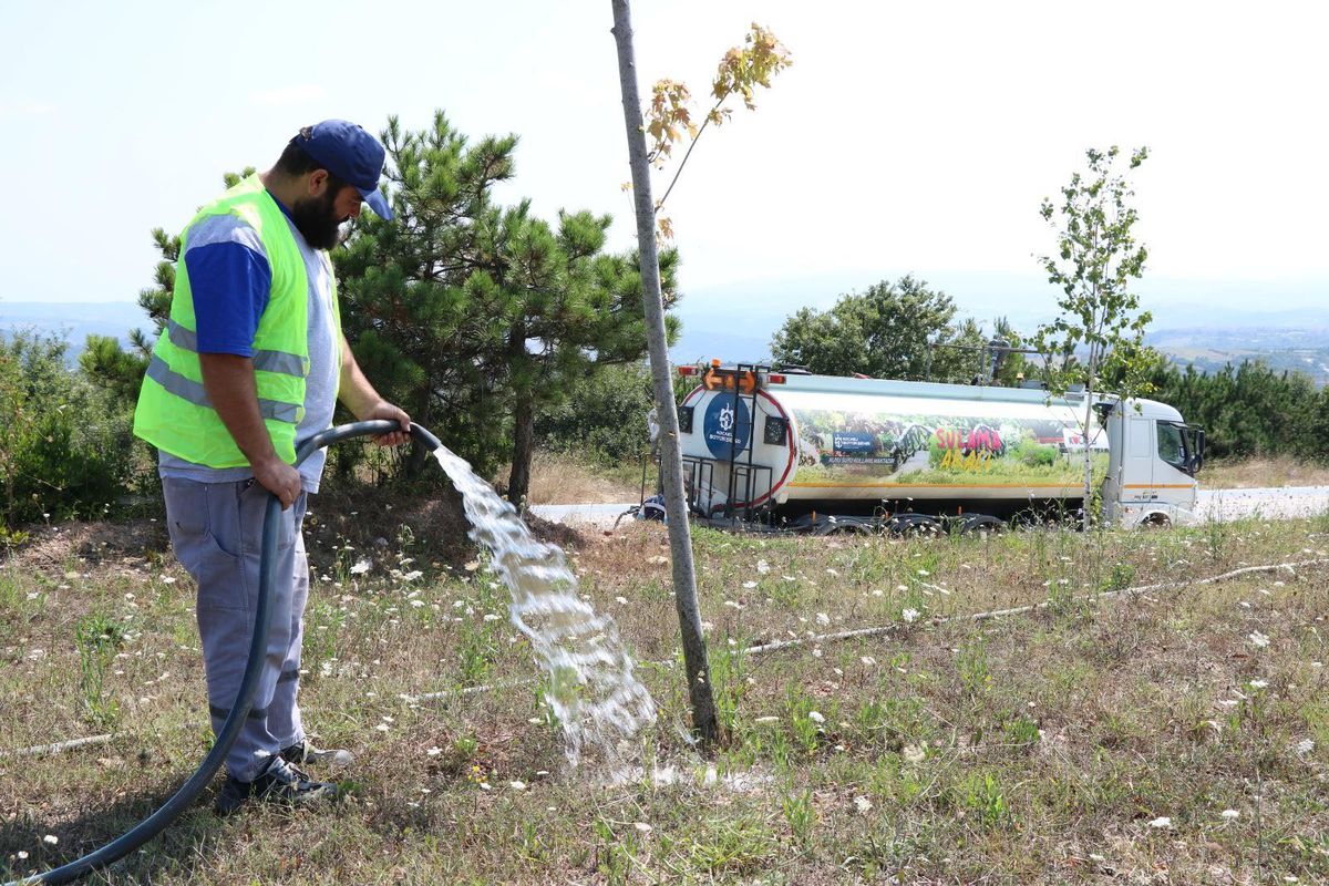 Ağaçlara can suyu Büyükşehir\'den