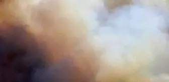 Aynı bölgede son bir ayda 10'uncu orman yangını